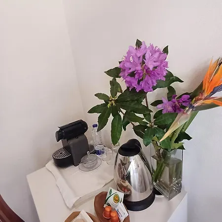 Boa Ventura * Oporto