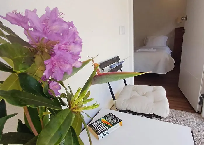 게스트하우스 Boa Ventura 포르투