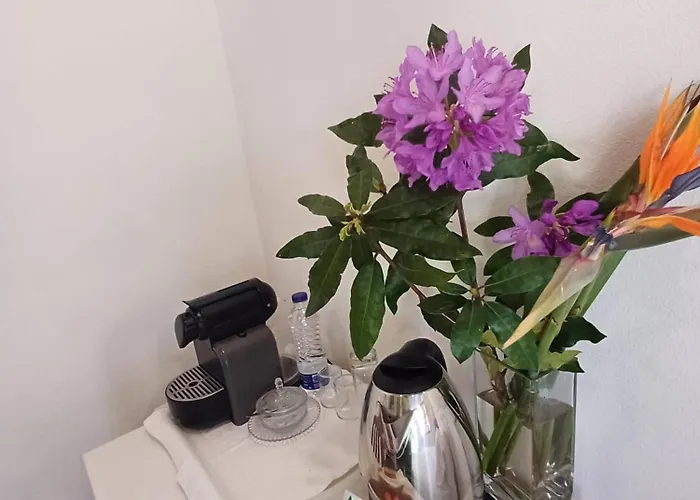 Boa Ventura * 波尔图