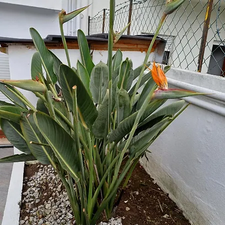 Boa Ventura Guest house Porto